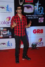 Karanvir Bohra at ITA Awards red carpet in Mumbai on 1st Nov 2014
